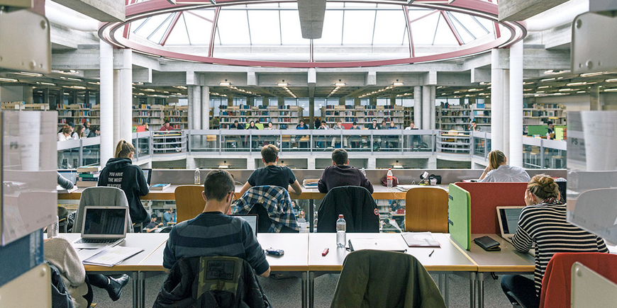 Gekaufte Uni-Arbeiten: Hunderte bleiben unentdeckt