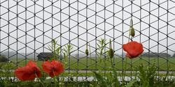 Geschönte Zahlen zum Massnahmenvollzug