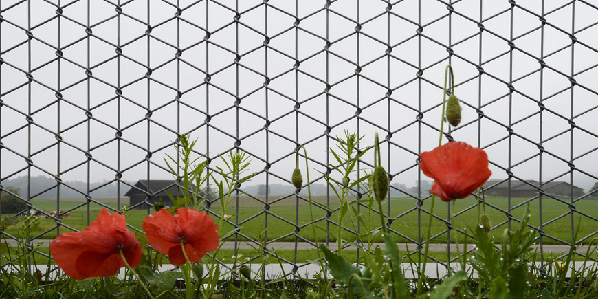 Geschönte Zahlen zum Massnahmenvollzug