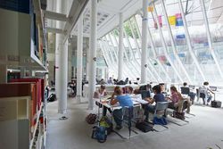 Wenn Studenten Bücher verstecken