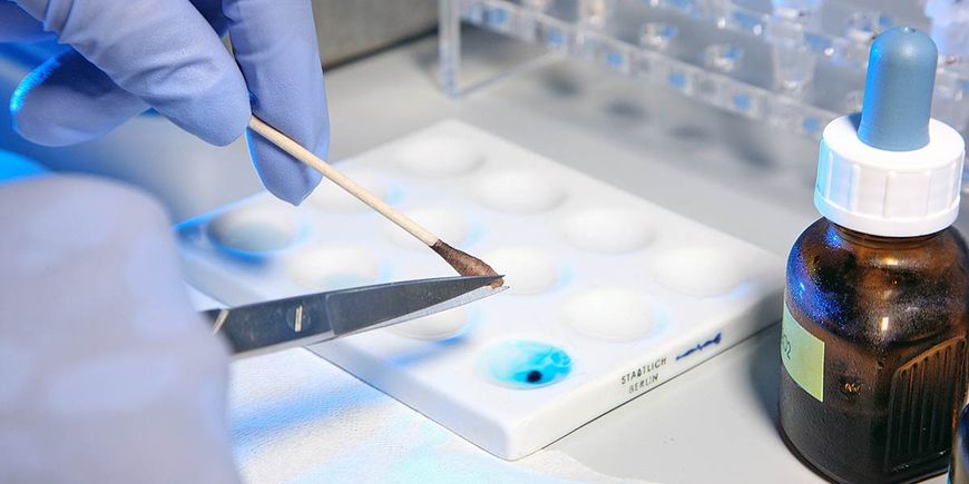 Mehr DNA-Daten für EU und USA