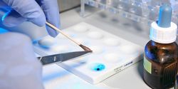 Mehr DNA-Daten für EU und USA