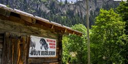 Rechtlich fragwürdige Jagd auf Wölfe